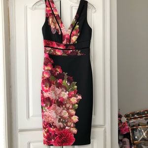 Bisou bisou cocktail dress